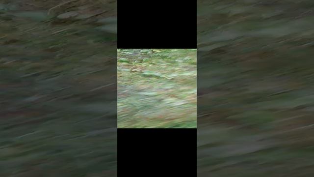 Я в деревне