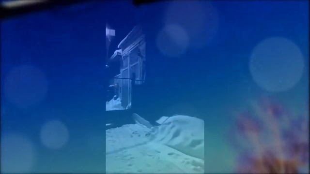 Автономная солнечная система освещения LED-NGS-24 50W 6500K 5000Lm смотреть онлайн