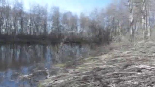 Прогулка на Южный пруд. Юрий Пахмутов. 03. 05. 2021 смотреть онлайн