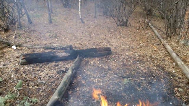 Лесной костёр/Авторская песня под гитару/ Исполняет автор Светлана Авдеева/Видео Иван Авдеев смотреть онлайн