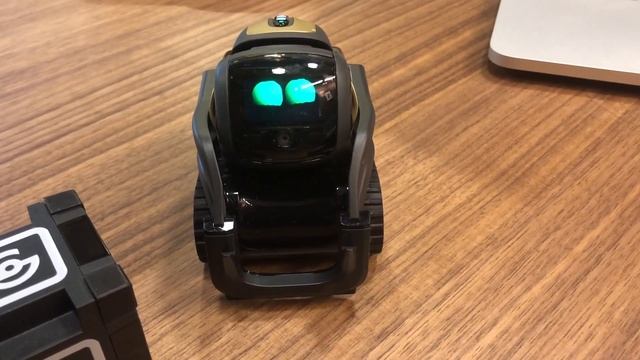 What Can The Anki Vector Robot Do For You? | Map & Fire 10X Strategy Teardown