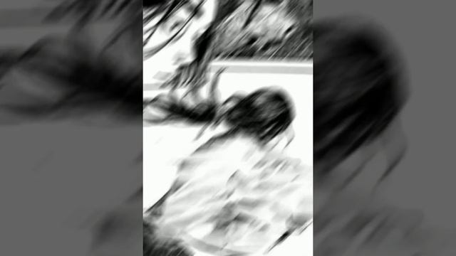 Miyamoto Musashi Vs Yoshioka Seijuro (vagabond) Edit