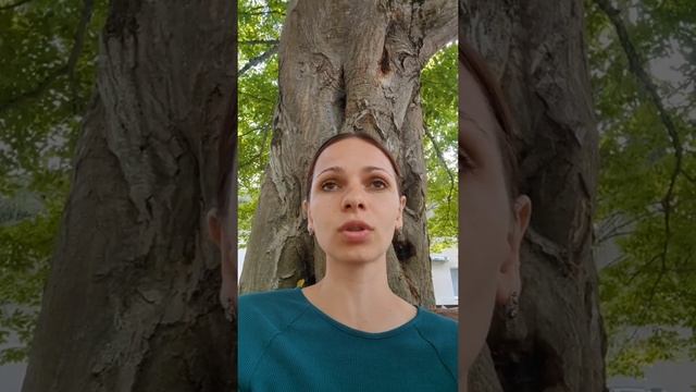 СМЫСЛ ЖИЗНИ - В ОЩУЩЕНИЯХ | @ЙОГА БОГАтсва смотреть онлайн