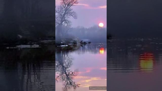 ♥️ Сергей Завьялов - Ивушка♥️ смотреть онлайн