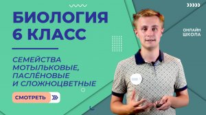 Класс Двудольные. Видеоурок 26. Биология 6 класс