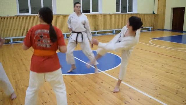 Курская федерация каратэ Ратиборец смотреть онлайн