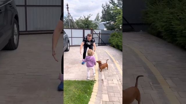 Не хочешь на дачу, поедешь в приют? #топ #семья #рофл #жизнь #дети #собаки #лето #дача #животные смотреть онлайн