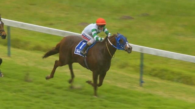 MAGICAL JAVA - RACE 6 #kenilworth 13 JULY 2022 смотреть онлайн