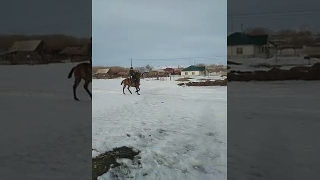1.5 кулан жорга уйрету смотреть онлайн