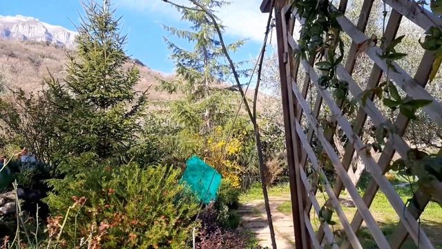 #Татуировка ,миниатюра из пластилина, заморозки. смотреть онлайн