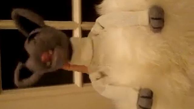 КУКОЛЬНЫЙ ТЕАТР "СКАЗКА ЗА СКАЗКОЙ"! ВОЛК! смотреть онлайн