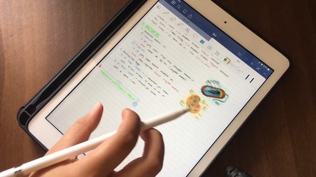 How I Take My Notes with iPad | Cara Aku Bikin Catatan pakai iPad | Indonesia смотреть онлайн