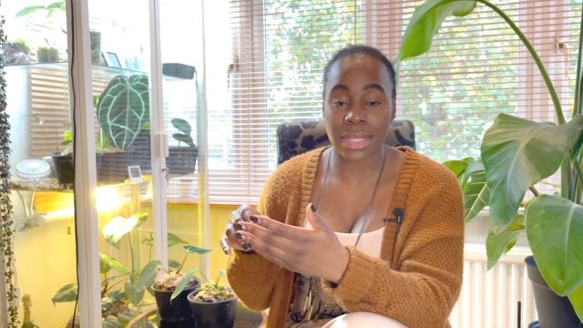 Ikea Greenhouse Rare Plant Update | Anthurium Regale & Warocqueanum