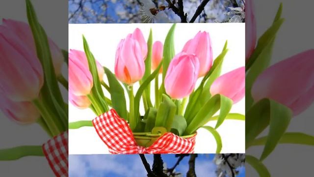 Дорогой Крестной 2.04.2016 смотреть онлайн