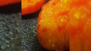 ТРИ ШИКАРНЫЕ СОРТА ТОМАТОВ САН МАРЦАНО, ГОВЯДИНА С КУСТА, ПОМАРАНЧИ ВАЦАП ДЛЯ ЗАКАЗА 89152458159