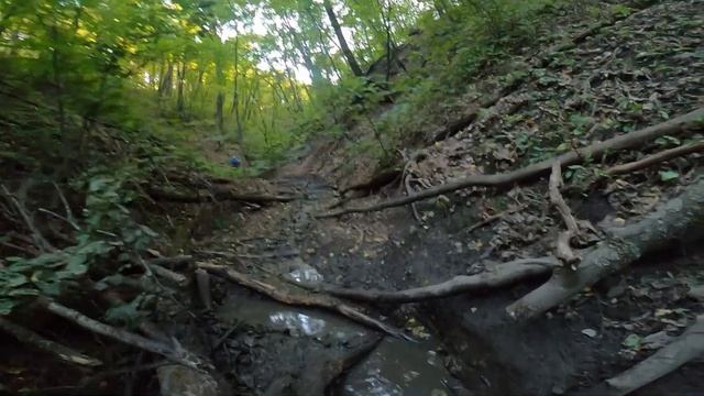 Эндуро Саратов. В ущелье бурелома смотреть онлайн