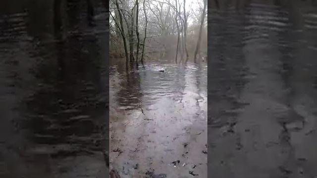 Max at Coldfall Wood during the Global flooding era of the 21st C! смотреть онлайн