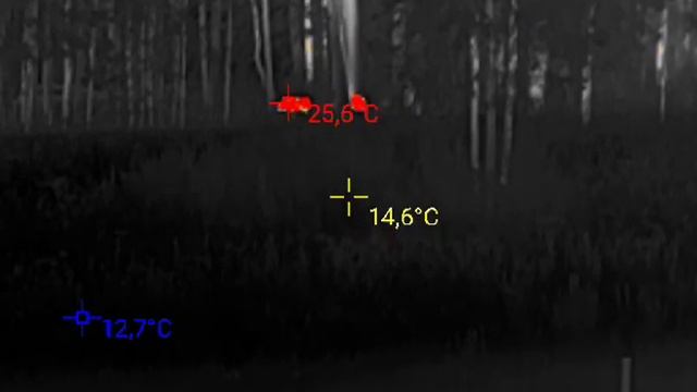 Ночная съемка на тепловизор InfiRay Xinfrared T2 Pro. Расстояние до кабанов в лесу 150 метров