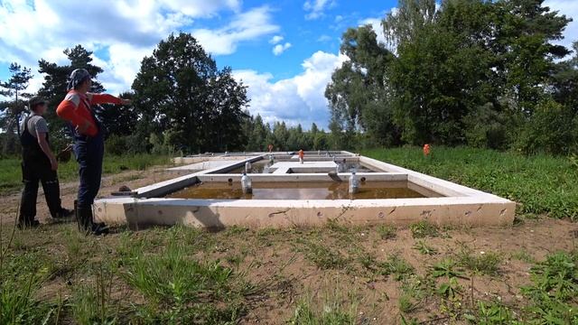 Ошибки при заливке фундамента/ Разрушение бетона