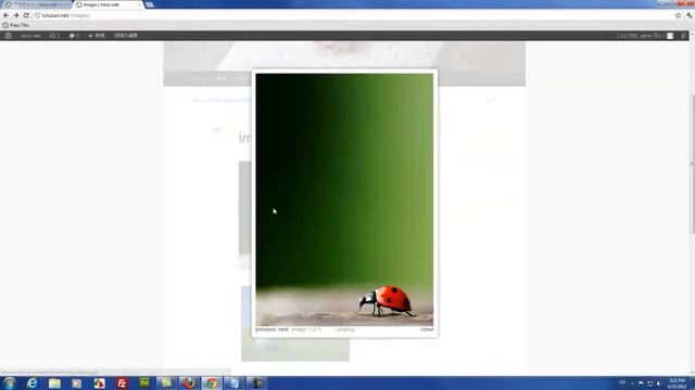 Wordpress 3.3 Lightbox plus プラグイン смотреть онлайн
