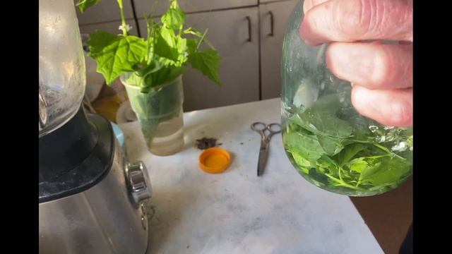 Как помыть зелень смотреть онлайн