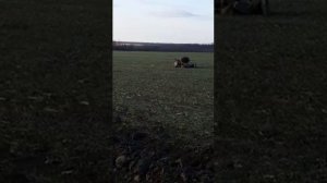 ловля зайца руками летом How to catch a rabbit 2