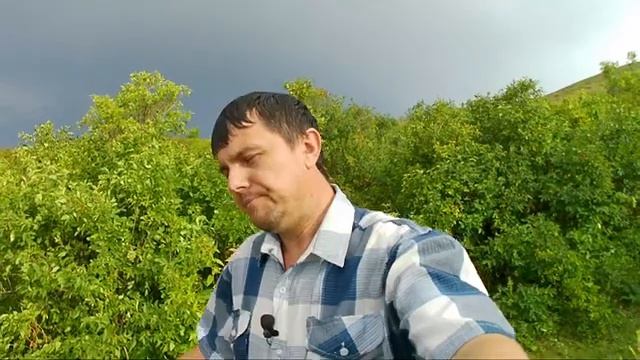 Сектор газа и Красная плесень ? чем отличаются две культовые группы 90х смотреть онлайн