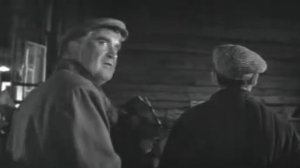 Chelovek bez pasporta