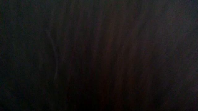 Как приучить кошку к воде смотреть онлайн