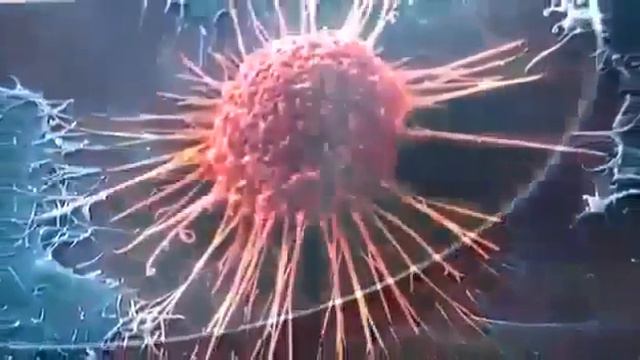 Пейте теплую воду натощак смотреть онлайн