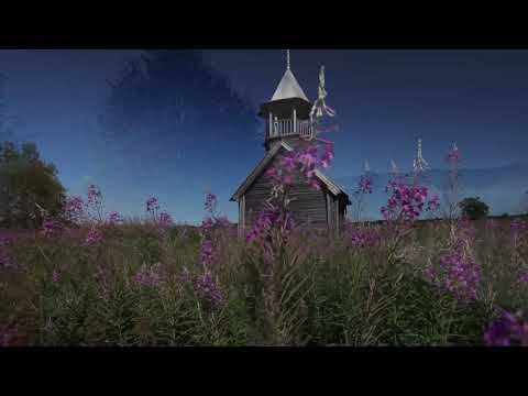 Константин БАЛЬМОНТ "Безглагольность". исп. Анастасия Голещихина смотреть онлайн