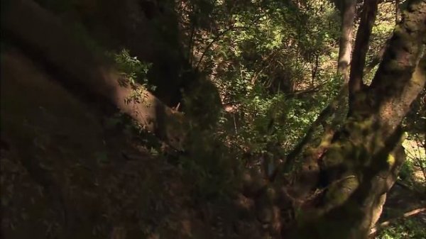 Mañana es para siempre: Bárbara mata a Macario | Escena C82 | tlnovelas