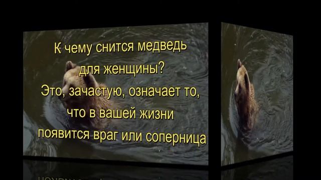 К ЧЕМУ СНИТСЯ МЕДВЕДЬ? СОННИК смотреть онлайн