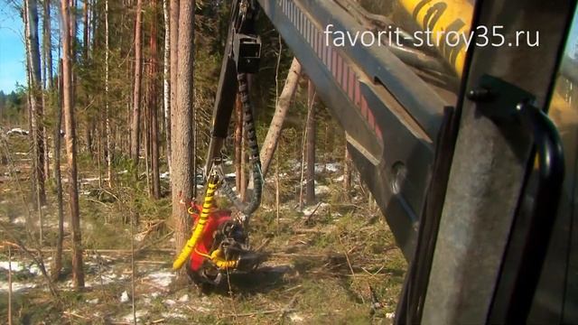 Работа харвестера в лесу