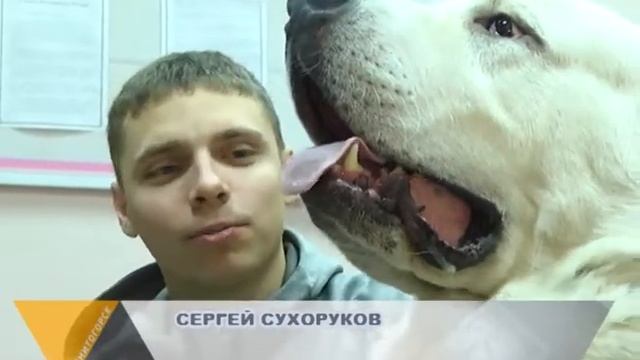 ГОД СОБАКИ смотреть онлайн