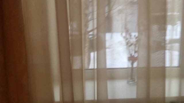 МО, г.Люберцы, ул.3-е Почтовое Отделение, д.86 / Студия 17,7м2 смотреть онлайн