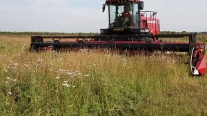 Самоходные косилки ПАЛЕССЕ - гарантия качества