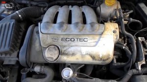 Двигатель (Опель) Opel Tigra 1 4 16V, X14XE1