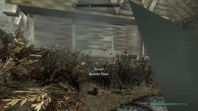 Skyrim: Special Edition (PC) - Whiterun Texture Bug смотреть онлайн