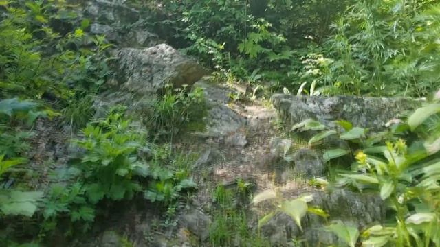 Легенда о сопке Двух Братьев. Поднимаемся на вершину. Хабаровск смотреть онлайн