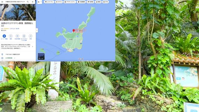 【石垣島】石垣島の産直も最高だった!!｜平久保埼灯台｜島野菜カフェリハロウビーチ｜沖縄グルメ｜ドライブ｜田舎暮らし｜沖縄県｜4K