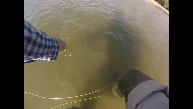 Ловля голавля. Голавль нахлыстом. Днестр. смотреть онлайн