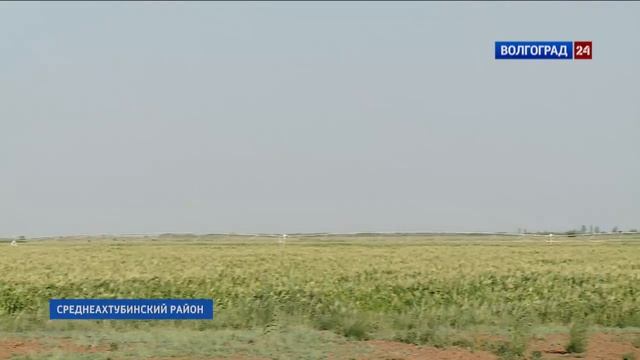 В Волгоградской области развивается мелиорация смотреть онлайн