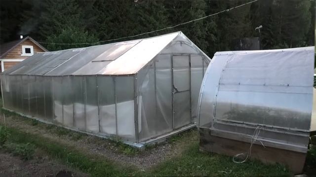 ? Огурец ФОРСАЖ F1| НАРОДНЫЙ ВЫБОР| Часть 1. Начало плодоношения смотреть онлайн