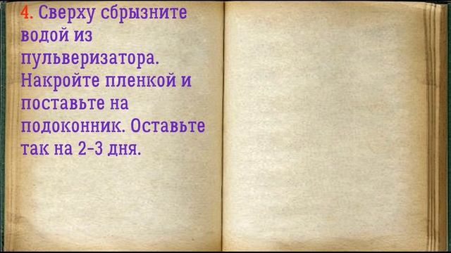 ? Микрозелень В Домашних Условиях Без Земли / ? Книга Рецептов / Bon Appetit смотреть онлайн