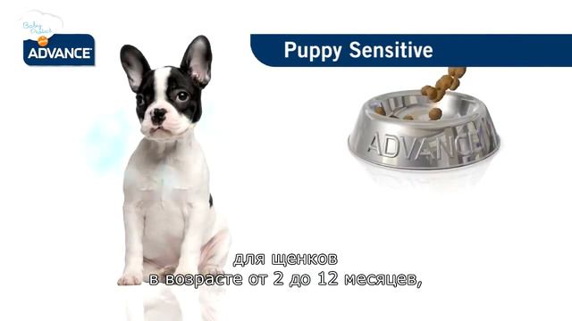 Advance Baby Protect Puppy Sensitive RU 1 смотреть онлайн
