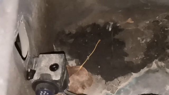 VW T5 не выключаются вентиляторы радиатора. Коды ошибок 00819 (сенсор G65) и 01592 (сенсор G238)