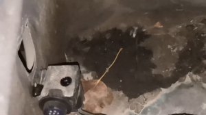 VW T5 не выключаются вентиляторы радиатора. Коды ошибок 00819 (сенсор G65) и 01592 (сенсор G238)