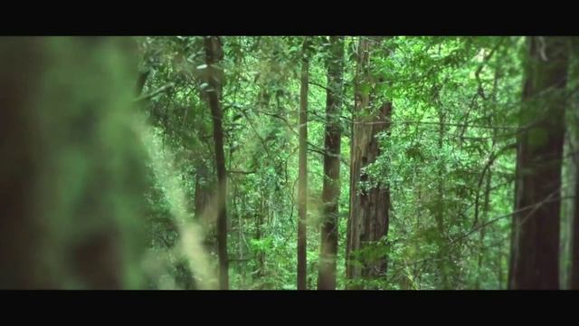 Black Dew Ft. Tanya Fink - Письмо солдата [WARFACE PROMO]