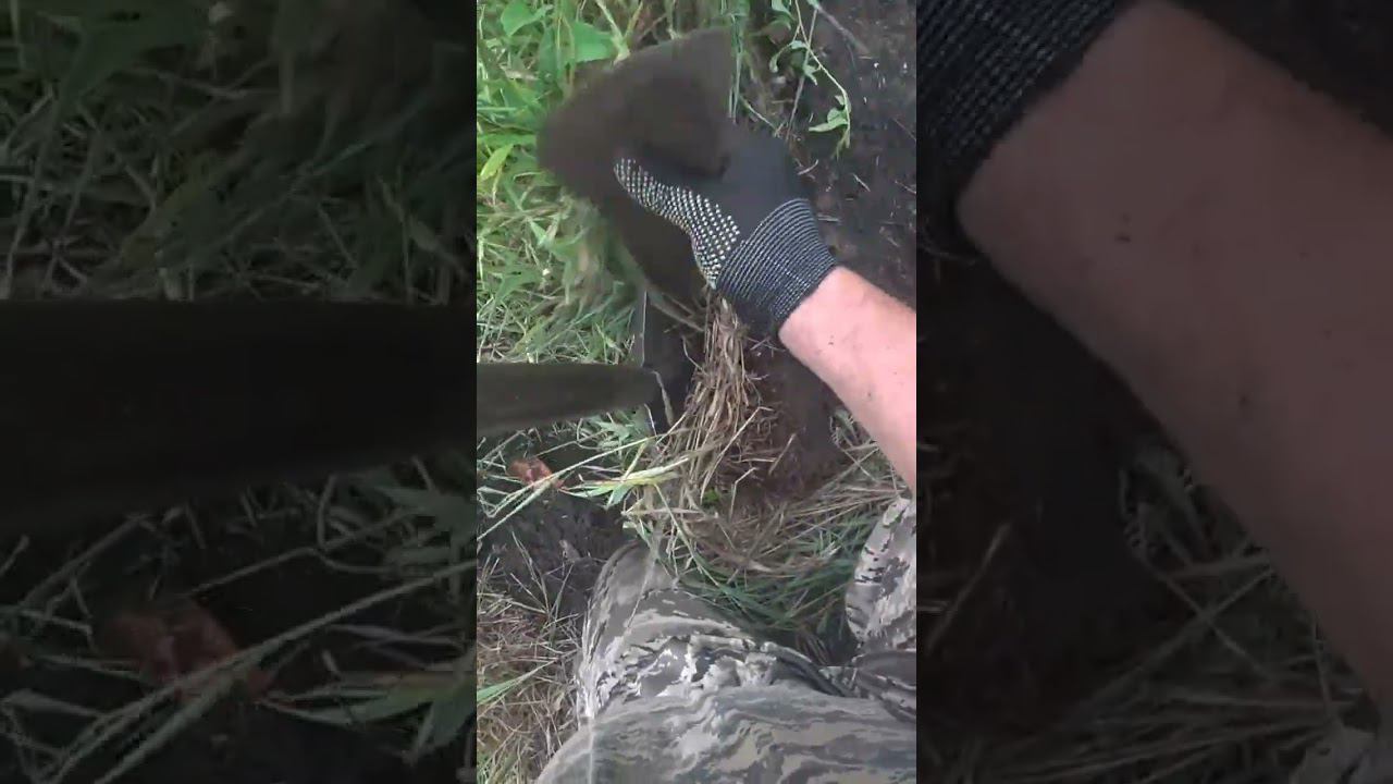 Угадайте, что это??? смотреть онлайн